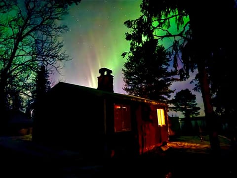 Night, Natural landscape