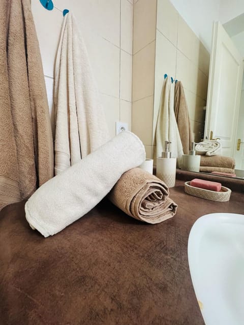 Le Faure - Appartement Centre ville et Jardin 2 personnes Apartment in Valence