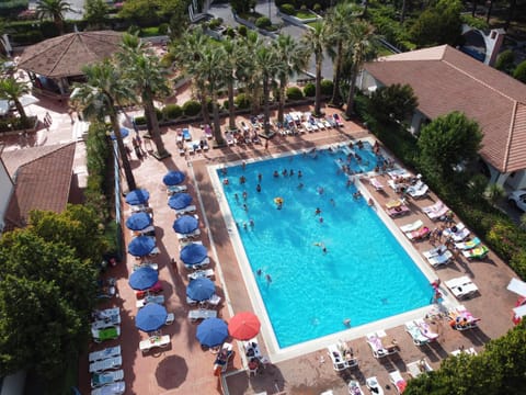 People, Bird's eye view, Swimming pool