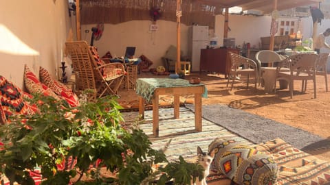 Patio, Restaurant/places to eat, Day, Garden, Banquet/Function facilities