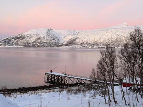 Natural landscape, Winter, Mountain view