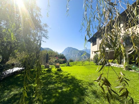Natural landscape, Garden, Garden view, Mountain view