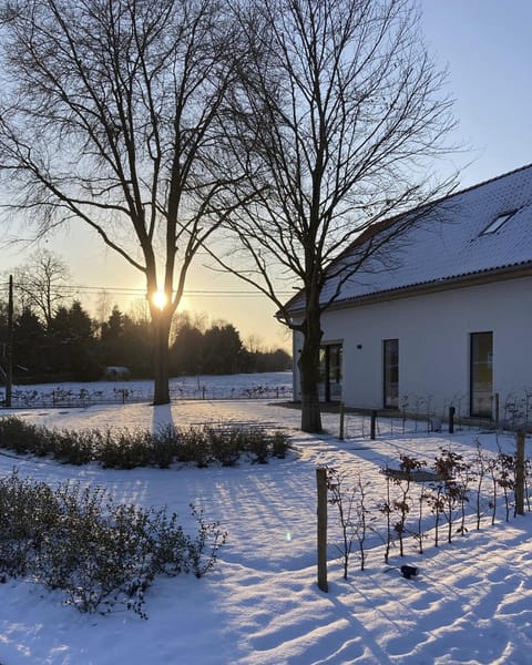 De Kempische Hoef Bed and Breakfast in Flanders