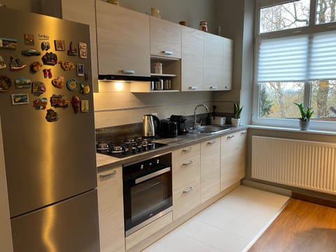 Kitchen or kitchenette, dishwasher