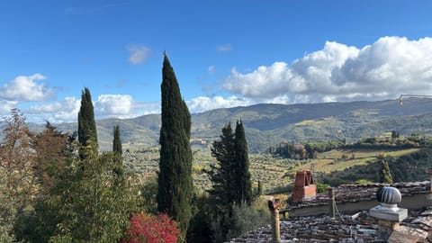 Galletto del Chianti Apartment in Panzano In Chianti