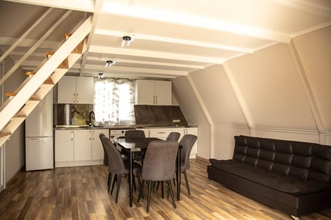 Kitchen or kitchenette, Living room, Seating area, Dining area