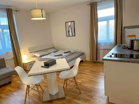 Bed, Kitchen or kitchenette, Photo of the whole room, Seating area, Bedroom, stove