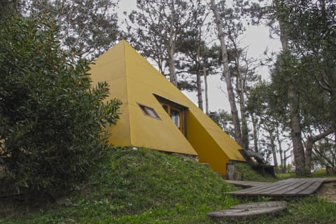 Facade/entrance, Garden