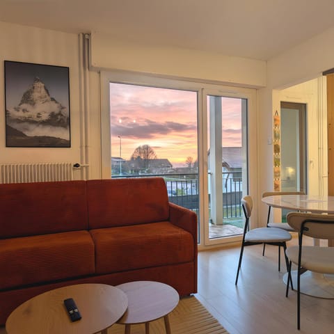 Appartement cosy entre Lac et Montagnes Apartment in Évian-les-Bains