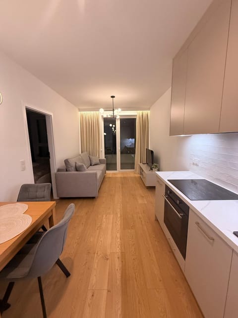 Kitchen or kitchenette, Living room, Seating area, Dining area