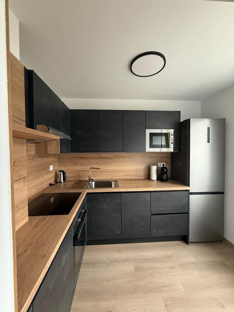 Kitchen or kitchenette, dishwasher, stove