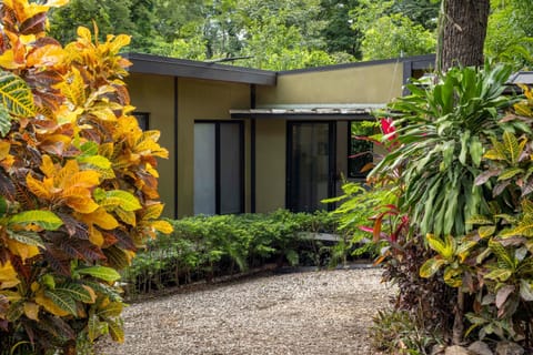 Property building, Garden view