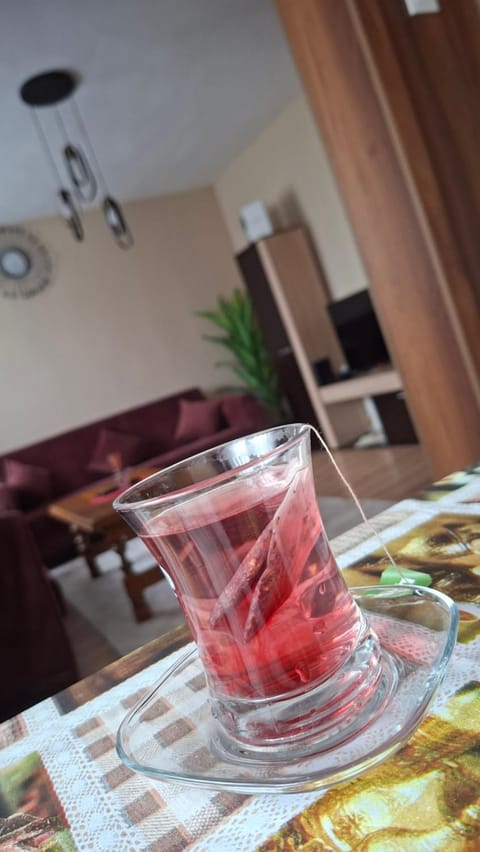 Grand Albi Apartament Apartment in North Macedonia