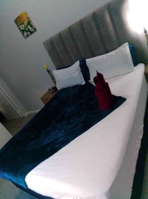 Neo & Ruks Guest Houses Boston Belleville 8 Apartment in Cape Town