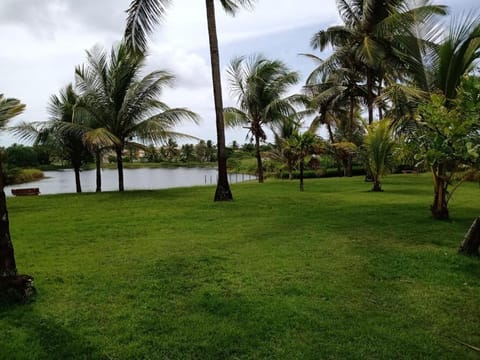 Lake view