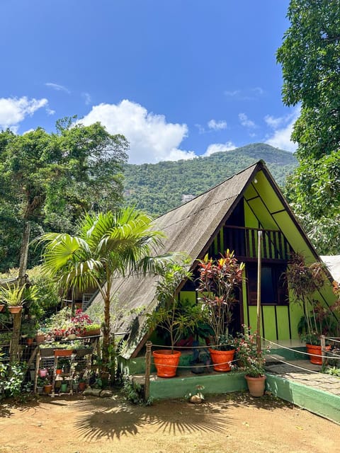 Day, Natural landscape, Garden, Mountain view