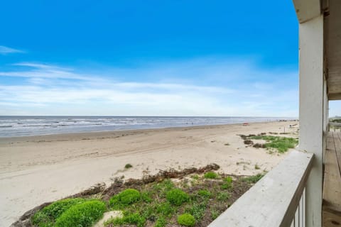 The Beach House House in Galveston Island