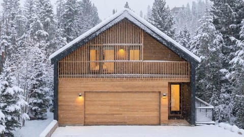 Serenity Domain House in Fraser