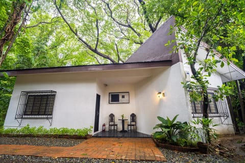 Patio, Garden view