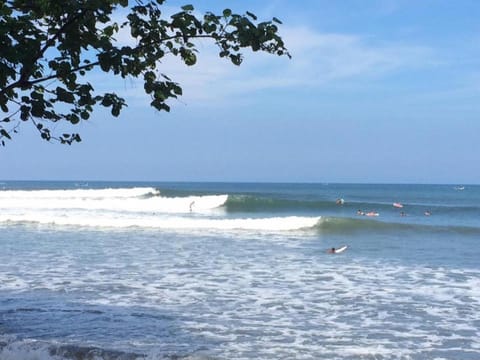 Nearby landmark, Beach