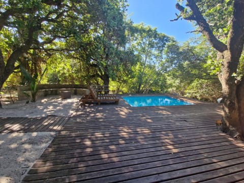 Garden view