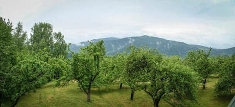 Garden view, Garden view