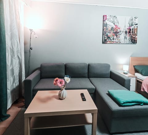 Spacious and Comfy Apartment, 15 Mins from Airport, 17 Minutes to City Center Apartment in Helsinki
