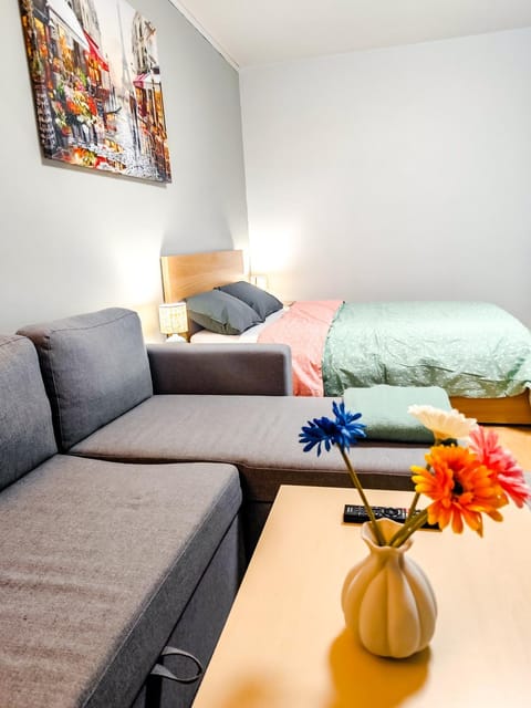 Spacious and Comfy Apartment, 15 Mins from Airport, 17 Minutes to City Center Apartment in Helsinki