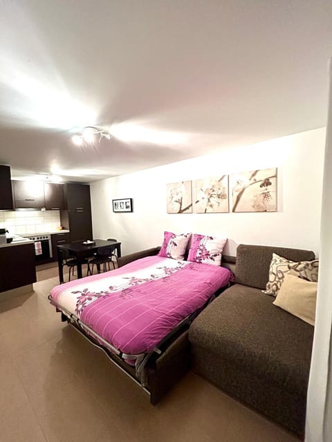 Leo Loft - Pool, Sauna & Free Parking Apartment in Canton of Grisons