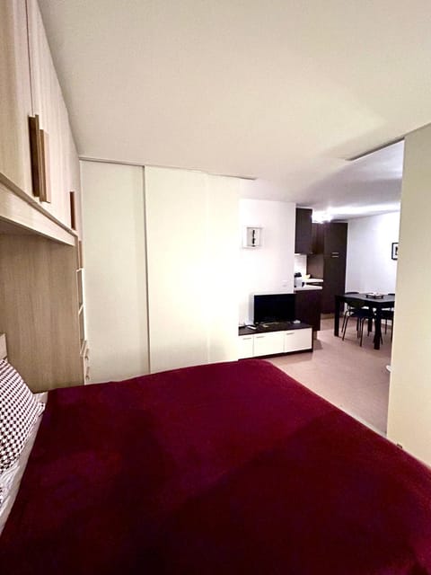 Leo Loft - Pool, Sauna & Free Parking Apartment in Canton of Grisons