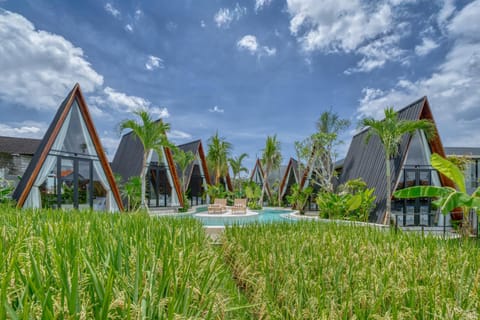 Property building, Spring, Day, Natural landscape, Garden, View (from property/room), Garden view, Pool view, Pool view, Swimming pool, Swimming pool