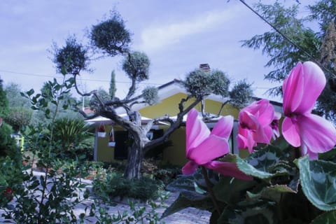 Property building, Natural landscape