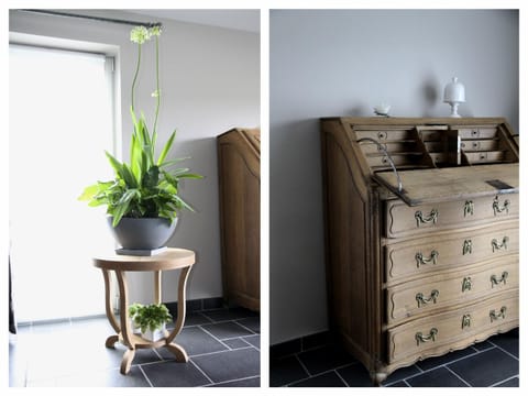 Library, Living room