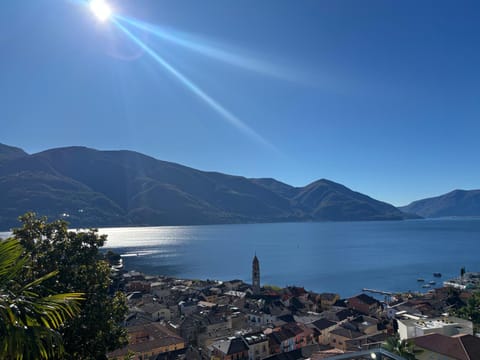 Casa Collina Apartment in Ascona