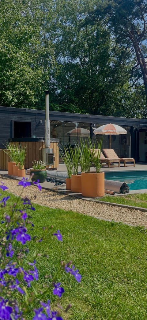 Day, Garden, Garden view, Pool view, Swimming pool, sunbed