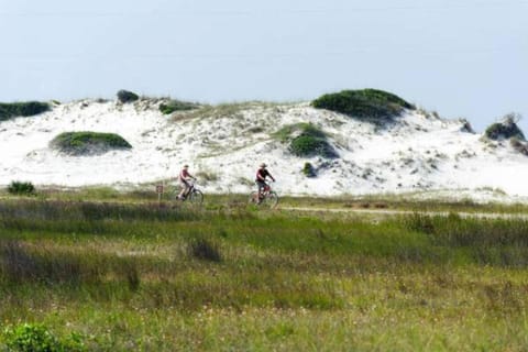 Aqua! Under The Sea! - Beach Access! - Pool! House in Seacrest