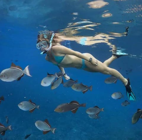 Aqua! Under The Sea! - Beach Access! - Pool! House in Seacrest