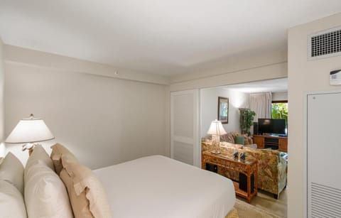 Kaanapali Alii 2 Bedroom Garden-Mountain View House in Kaanapali