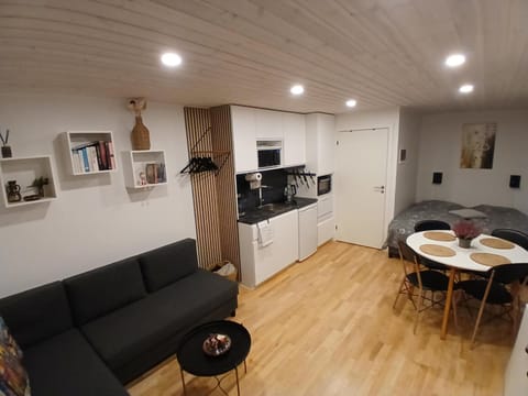 Small Cozy Cottage Near the Skjern River Apartment in Region of Southern Denmark