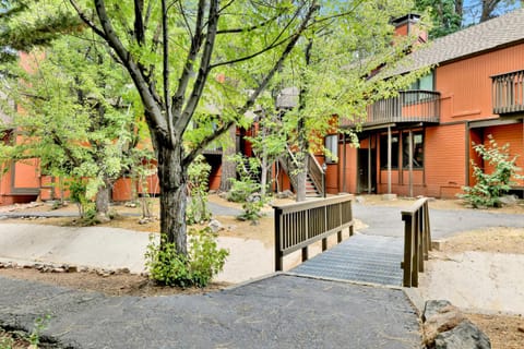 Property building, Day, Garden view