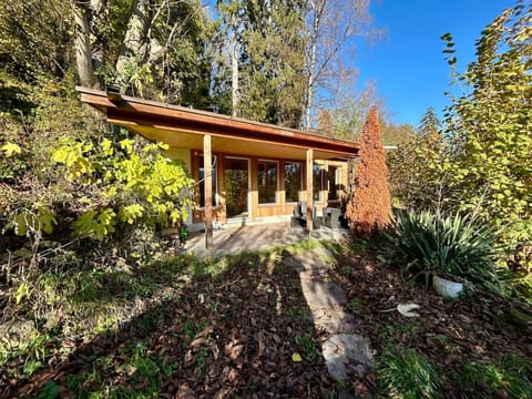 Property building, Garden, Garden view