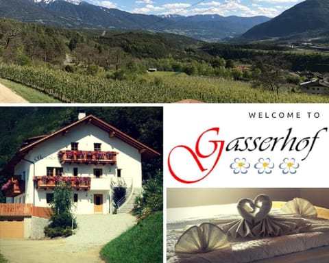Gasserhof Aicha Apartment in Trentino-South Tyrol
