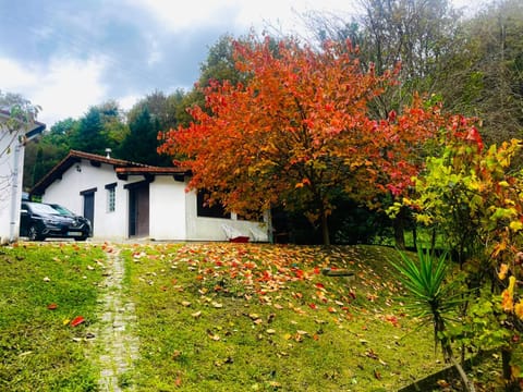 Property building, Off site, Autumn
