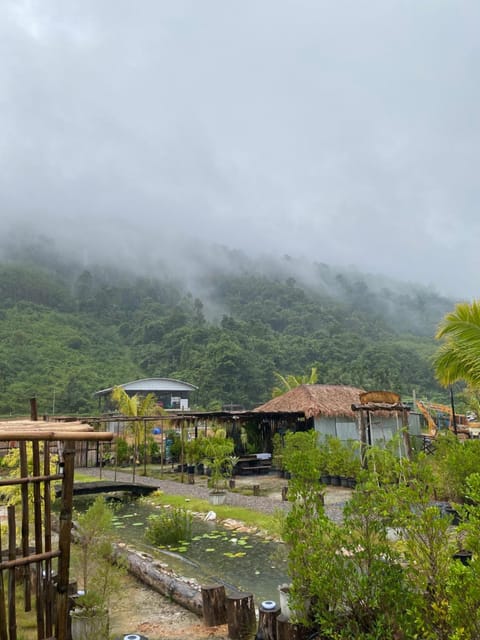 View (from property/room)