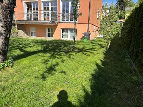 Property building, Garden, Garden view