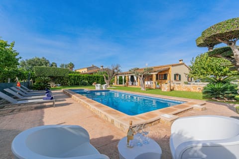 Patio, Garden, Garden view