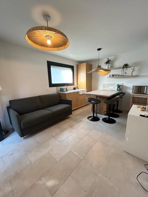 St Paul de Vence Apartment in Cagnes-sur-Mer