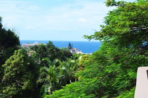 Natural landscape