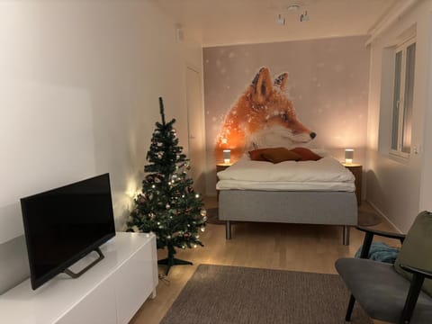 Bed, TV and multimedia, Photo of the whole room