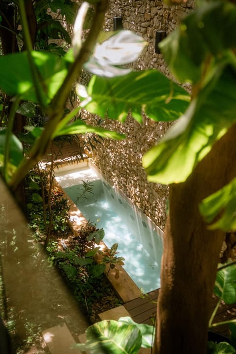 Day, Garden